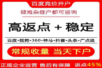 百度竞价策略成功案例：如何做到日赚千元